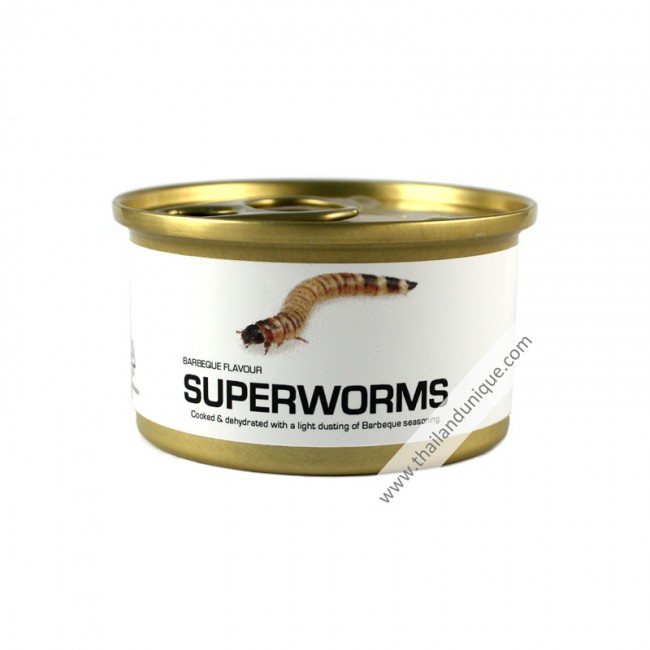 download bulk superworms